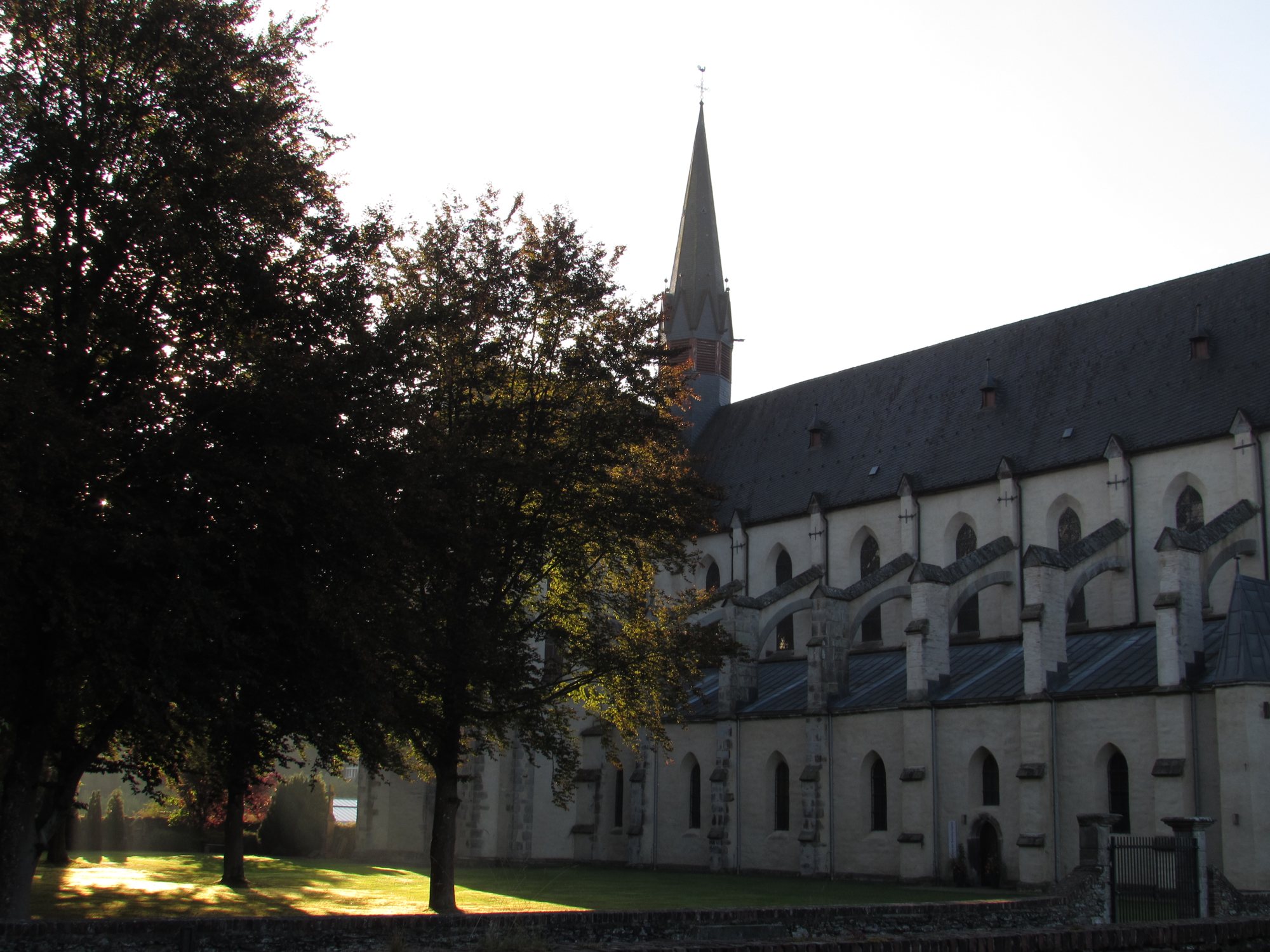 A basílica entre as árvores